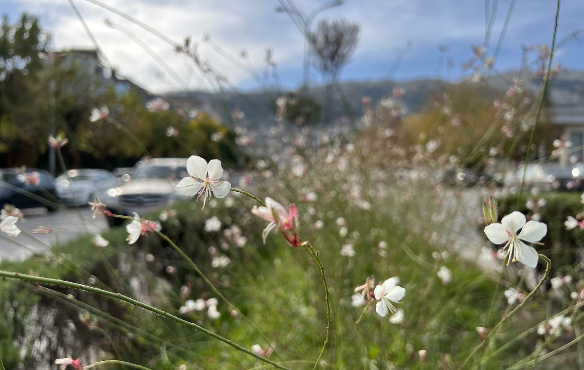Gjirokastër – Albánie a Jadran