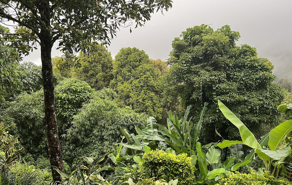 Munduk – Bali