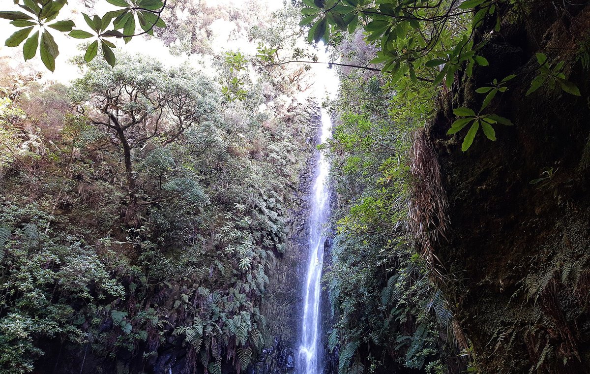 25 Fontes – Madeira