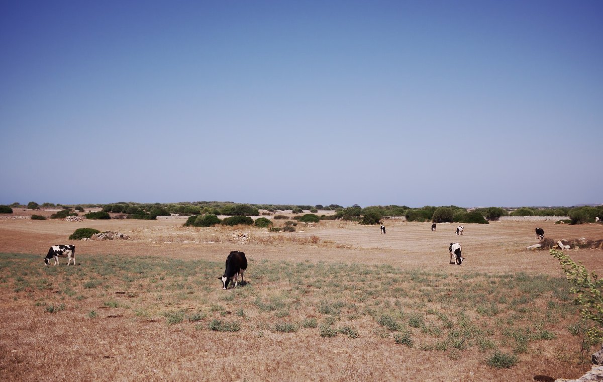 Menorca – Španělské ostrovy